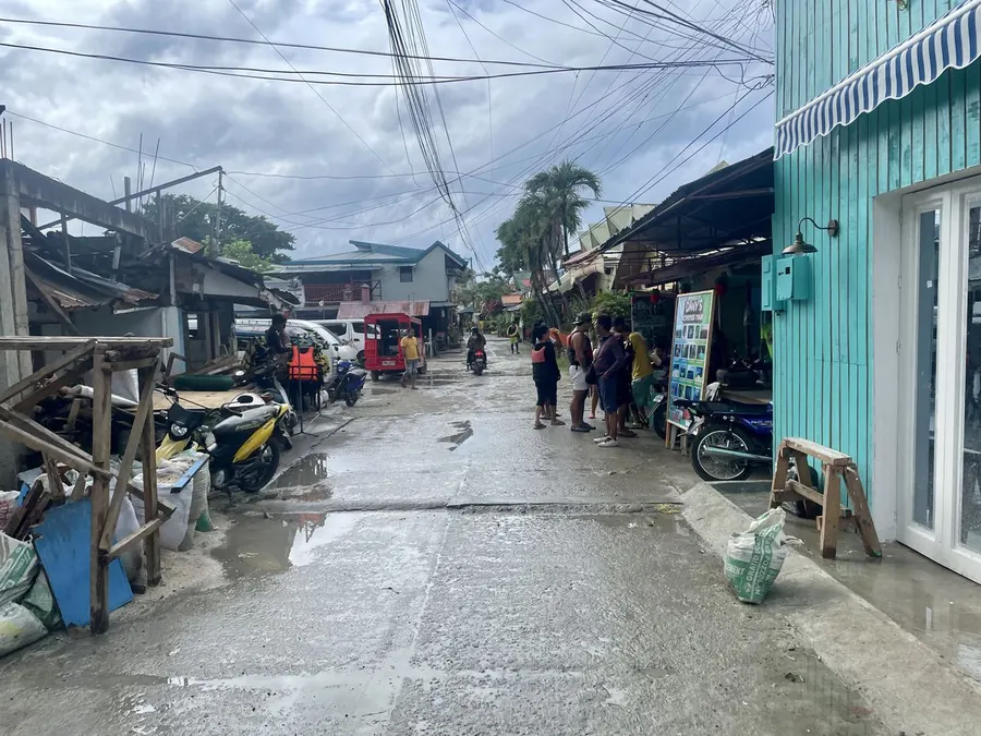 A village street after the rain