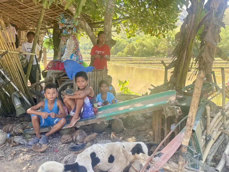 Children in the shade beside the rice paddies